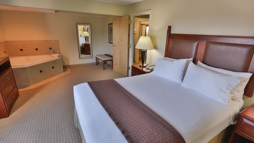 Imagen de la habitación del Hotel Holiday Inn Express and Suites Asheville Downtown, An Ihg. Foto 3