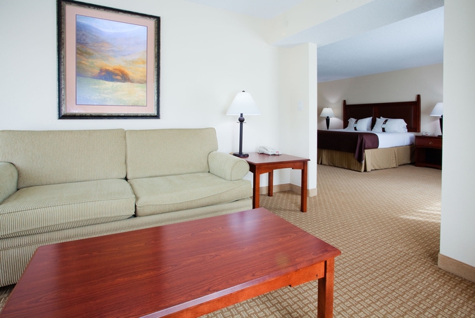 Imagen de la habitación del Hotel Holiday Inn Express and Suites Asheville Downtown, An Ihg. Foto 9