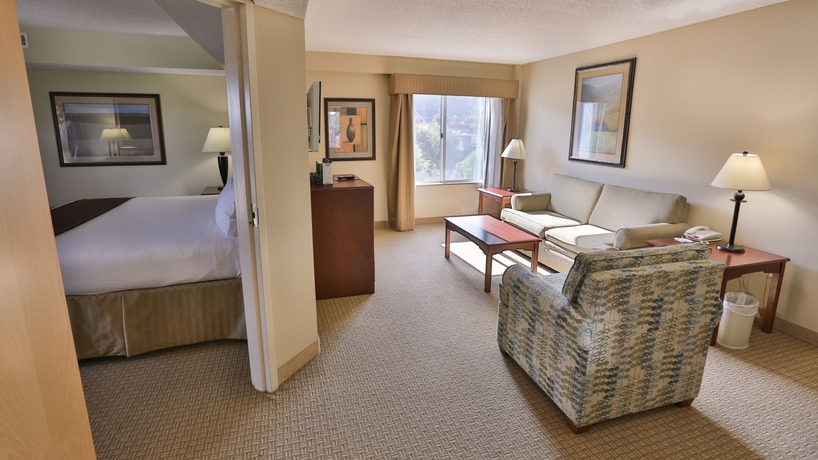 Imagen de la habitación del Hotel Holiday Inn Express and Suites Asheville Downtown, An Ihg. Foto 11