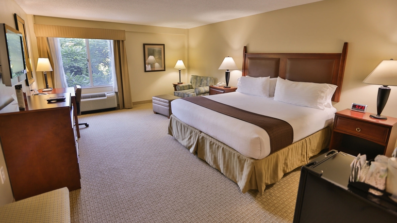 Imagen de la habitación del Hotel Holiday Inn Express and Suites Asheville Downtown, An Ihg. Foto 12