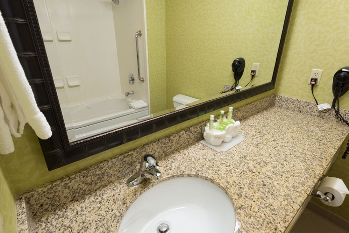 Imagen de la habitación del Hotel Holiday Inn Express and Suites Asheville Sw - Outlet Ctr Area. Foto 7