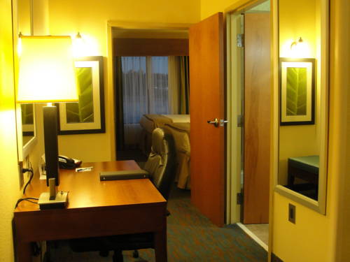 Imagen de la habitación del Hotel Holiday Inn Express and Suites Atlanta East - Lithonia, An Ihg. Foto 10