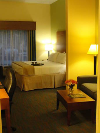 Imagen de la habitación del Hotel Holiday Inn Express and Suites Atlanta East - Lithonia, An Ihg. Foto 12