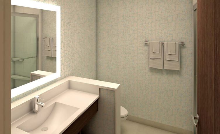 Imagen de la habitación del Hotel Holiday Inn Express and Suites Auburn Downtown, an IHG. Foto 11