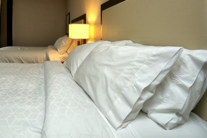 Imagen de la habitación del Hotel Holiday Inn Express and Suites Batavia - Darien Lake, an IHG. Foto 7