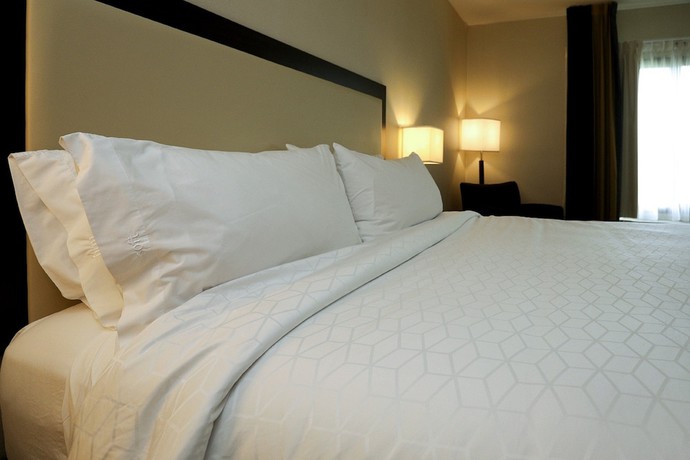 Imagen de la habitación del Hotel Holiday Inn Express and Suites Batavia - Darien Lake, an IHG. Foto 8