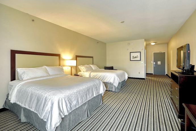 Imagen de la habitación del Hotel Holiday Inn Express and Suites Batavia - Darien Lake, an IHG. Foto 12