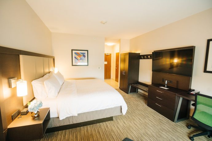 Imagen de la habitación del Hotel Holiday Inn Express and Suites Birmingham - Homewood, an IHG. Foto 9