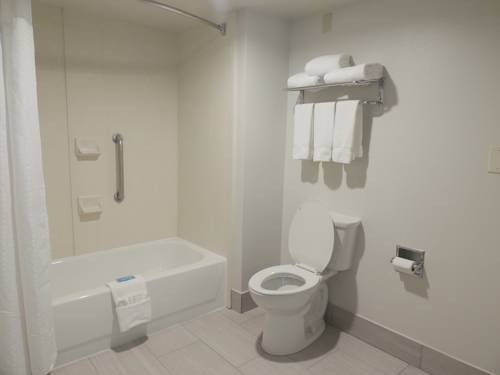 Imagen de la habitación del Hotel Holiday Inn Express and Suites Birmingham Trussville, An Ihg. Foto 3