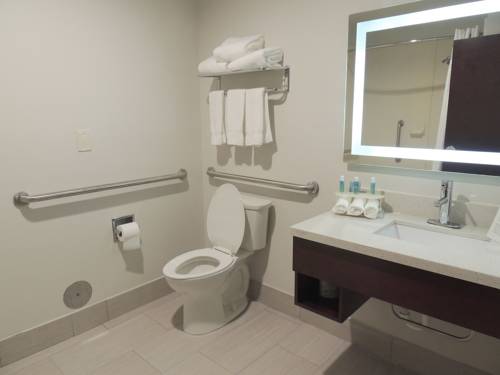 Imagen de la habitación del Hotel Holiday Inn Express and Suites Birmingham Trussville, An Ihg. Foto 4