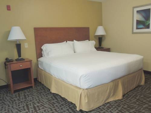 Imagen de la habitación del Hotel Holiday Inn Express and Suites Birmingham Trussville, An Ihg. Foto 10