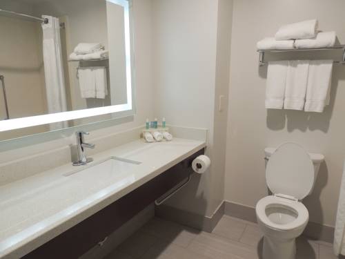 Imagen de la habitación del Hotel Holiday Inn Express and Suites Birmingham Trussville, An Ihg. Foto 13