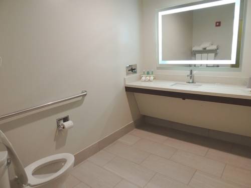 Imagen de la habitación del Hotel Holiday Inn Express and Suites Birmingham Trussville, An Ihg. Foto 15