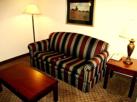 Imagen de la habitación del Hotel Holiday Inn Express and Suites Blythewood, An Ihg. Foto 11