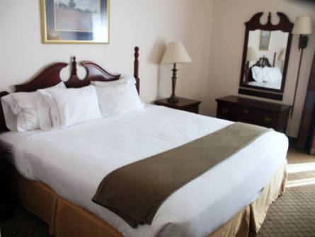 Imagen de la habitación del Hotel Holiday Inn Express and Suites Blythewood, An Ihg. Foto 12