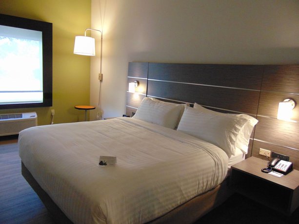 Imagen de la habitación del Hotel Holiday Inn Express and Suites Boynton Beach West, An Ihg. Foto 6