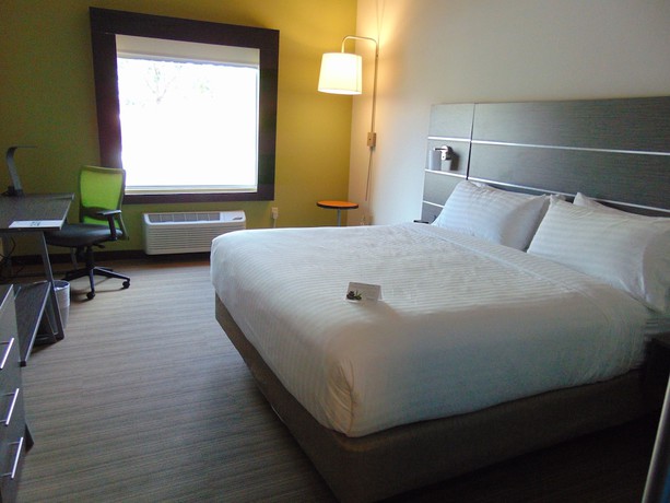 Imagen de la habitación del Hotel Holiday Inn Express and Suites Boynton Beach West, An Ihg. Foto 9