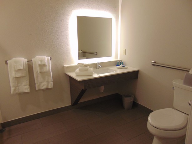 Imagen de la habitación del Hotel Holiday Inn Express and Suites Boynton Beach West, An Ihg. Foto 12