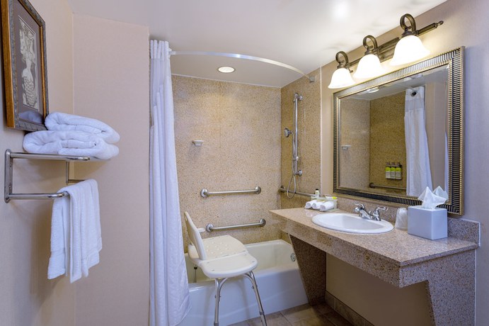 Imagen de la habitación del Hotel Holiday Inn Express and Suites Bradenton East-lakewood Ranch, An Ihg. Foto 6