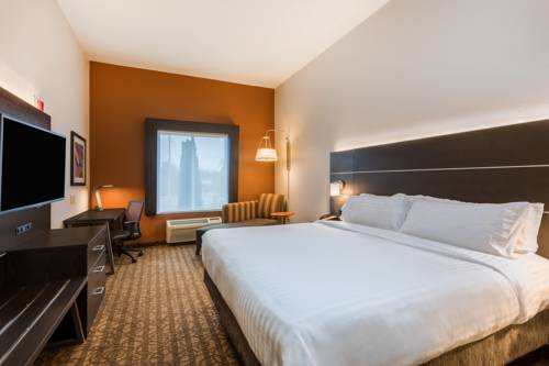 Imagen de la habitación del Hotel Holiday Inn Express and Suites Bremen, An Ihg. Foto 6