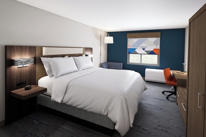 Imagen de la habitación del Hotel Holiday Inn Express and Suites Buford &ndash; Mall of Georgia by IHG. Foto 2