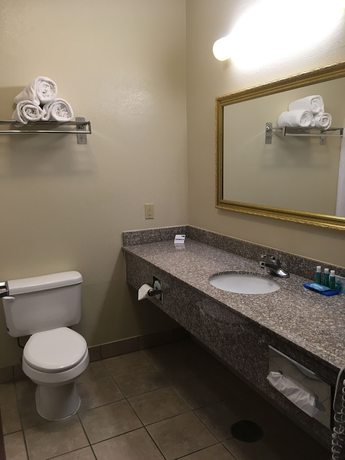 Imagen de la habitación del Hotel Holiday Inn Express and Suites Cadillac, An Ihg. Foto 12