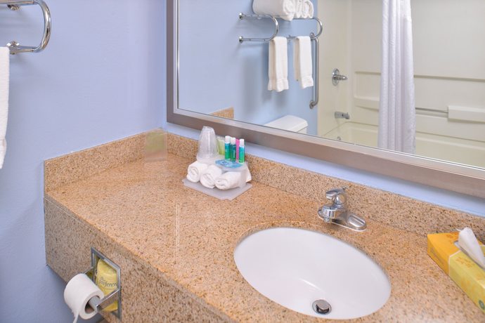 Imagen de la habitación del Hotel Holiday Inn Express and Suites Central Omaha, An Ihg. Foto 15