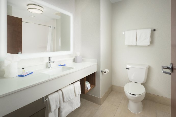 Imagen de la habitación del Hotel Holiday Inn Express and Suites Chattanooga Downtown, An Ihg. Foto 10