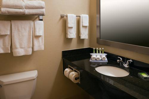Imagen de la habitación del Hotel Holiday Inn Express and Suites Chicago West-roselle, An Ihg. Foto 3