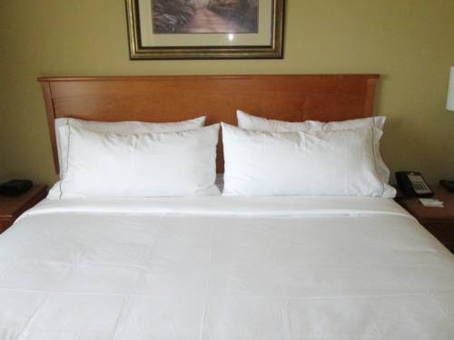 Imagen de la habitación del Hotel Holiday Inn Express and Suites Chicago West-roselle, An Ihg. Foto 5