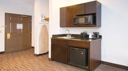 Imagen general del Hotel Holiday Inn Express and Suites Chicago-deerfield/lincoln, An Ihg. Foto 1
