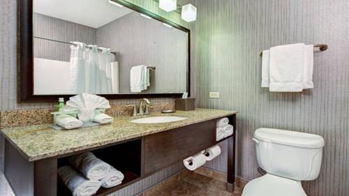 Imagen de la habitación del Hotel Holiday Inn Express and Suites Chicago-deerfield/lincoln, An Ihg. Foto 7