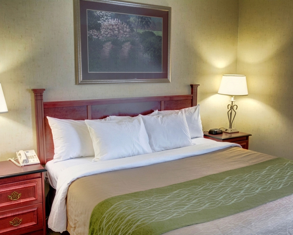 Imagen de la habitación del Hotel Holiday Inn Express and Suites College Park-University Area. Foto 10