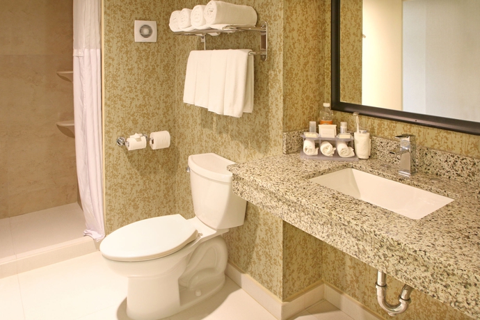 Imagen de la habitación del Hotel Holiday Inn Express and Suites Cuernavaca. Foto 3