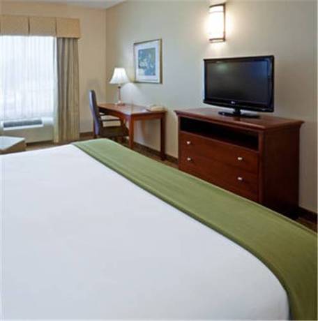 Imagen de la habitación del Hotel Holiday Inn Express and Suites Dallas Southwest-cedar Hill. Foto 2