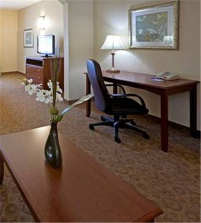 Imagen de la habitación del Hotel Holiday Inn Express and Suites Dallas Southwest-cedar Hill. Foto 3