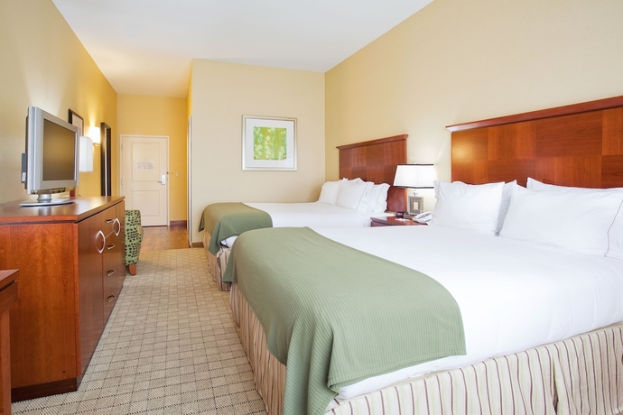 Imagen de la habitación del Hotel Holiday Inn Express and Suites Denver Airport, An Ihg. Foto 6