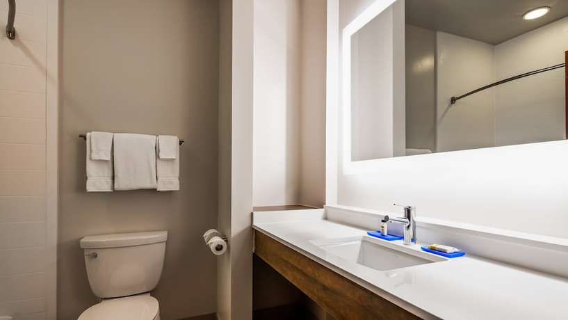 Imagen de la habitación del Hotel Holiday Inn Express and Suites Detroit - Farmington Hills, an IHG. Foto 7