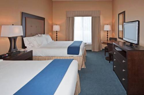 Imagen de la habitación del Hotel Holiday Inn Express and Suites Detroit-novi, An Ihg. Foto 3