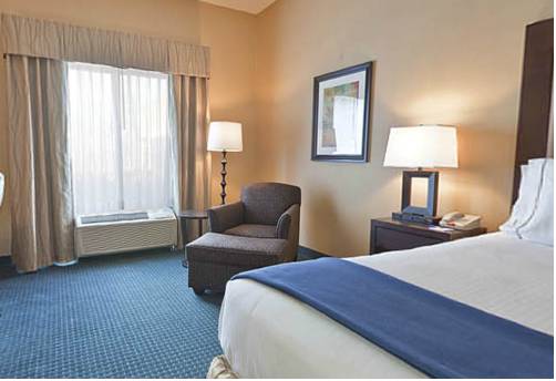 Imagen de la habitación del Hotel Holiday Inn Express and Suites Detroit-novi, An Ihg. Foto 7