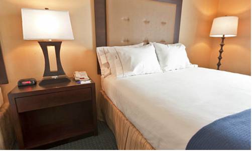Imagen de la habitación del Hotel Holiday Inn Express and Suites Detroit-novi, An Ihg. Foto 10