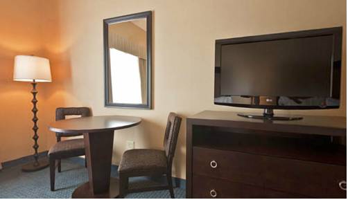 Imagen de la habitación del Hotel Holiday Inn Express and Suites Detroit-novi, An Ihg. Foto 11