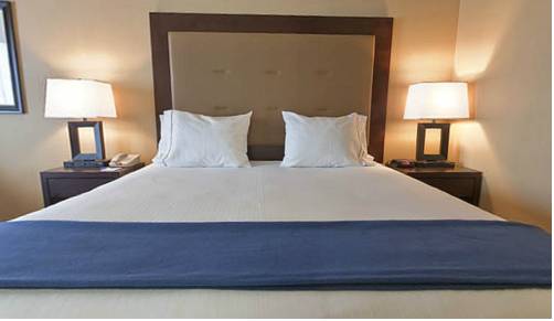 Imagen de la habitación del Hotel Holiday Inn Express and Suites Detroit-novi, An Ihg. Foto 12