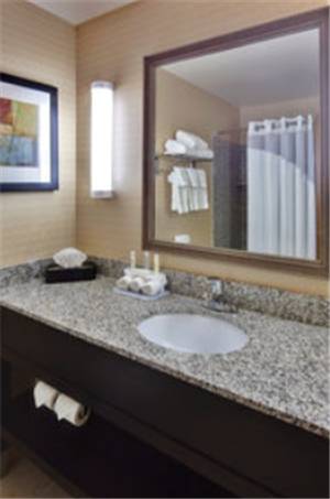Imagen de la habitación del Hotel Holiday Inn Express and Suites Detroit-novi, An Ihg. Foto 14