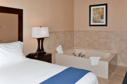 Imagen de la habitación del Hotel Holiday Inn Express and Suites Detroit-novi, An Ihg. Foto 16