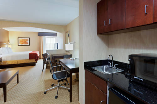Imagen de la habitación del Hotel Holiday Inn Express and Suites Dover, An Ihg. Foto 9
