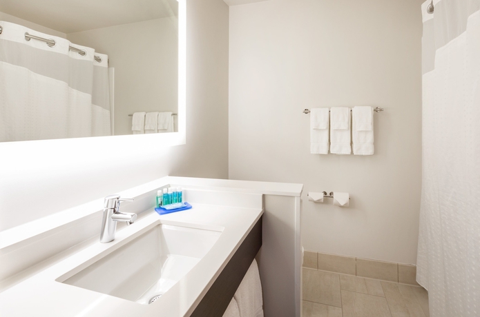 Imagen de la habitación del Hotel Holiday Inn Express and Suites Downtown Minneapolis, An Ihg. Foto 3