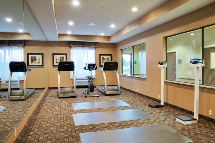 Imagen de los interiores del Hotel Holiday Inn Express and Suites Energy Corridor West Oaks, An Ihg. Foto 7