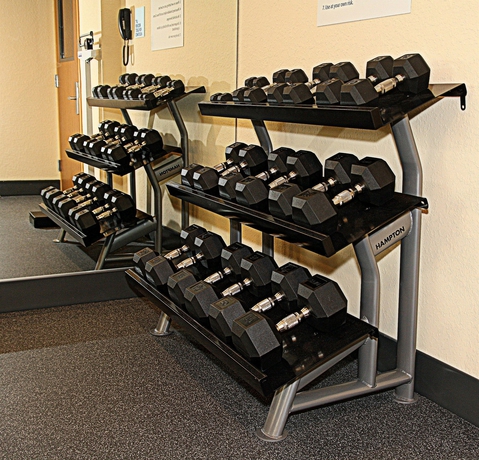 Imagen de los interiores del Hotel Holiday Inn Express and Suites Fort Lauderdale Airport South, An Ihg. Foto 8