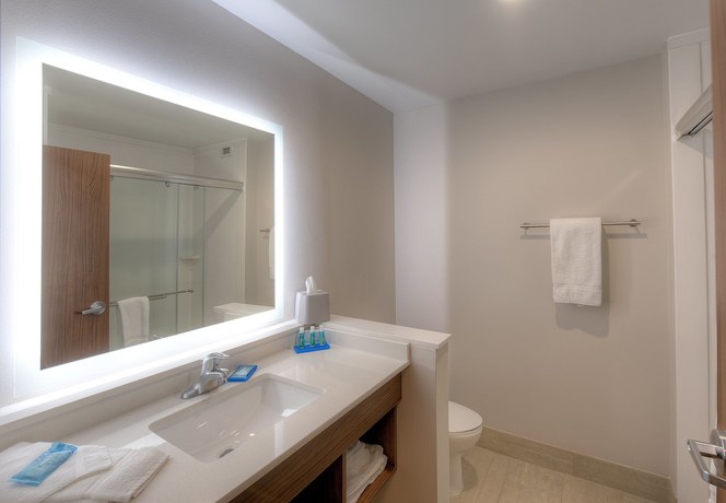 Imagen de la habitación del Hotel Holiday Inn Express and Suites Fort Mill, an IHG. Foto 3